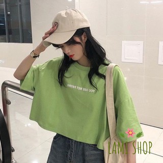 Áo Thun Nữ ❤️FREESHIP❤️ Áo Croptop You Are Not Paying