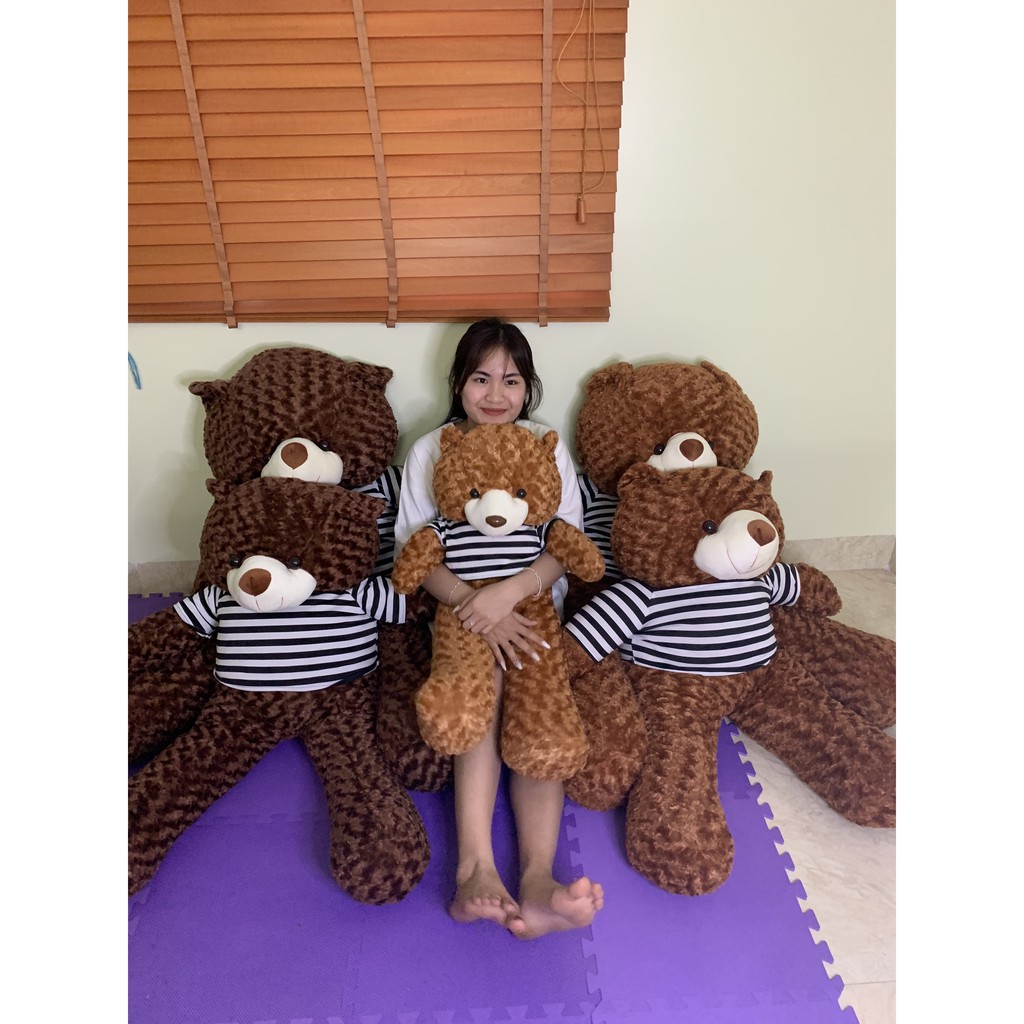 Gấu Bông Teddy Nâu Bự Khổng Lồ Siêu Đáng Yêu 0,95m-1m1-1m3 -GBTD01