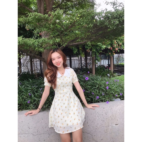 Đầm hoa bèo cổ