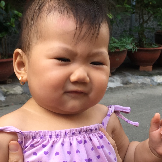Linh Kiện Hcm