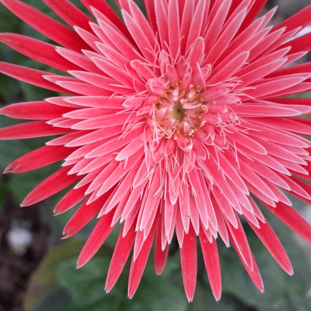 Quầy thuốc Hà Thanh