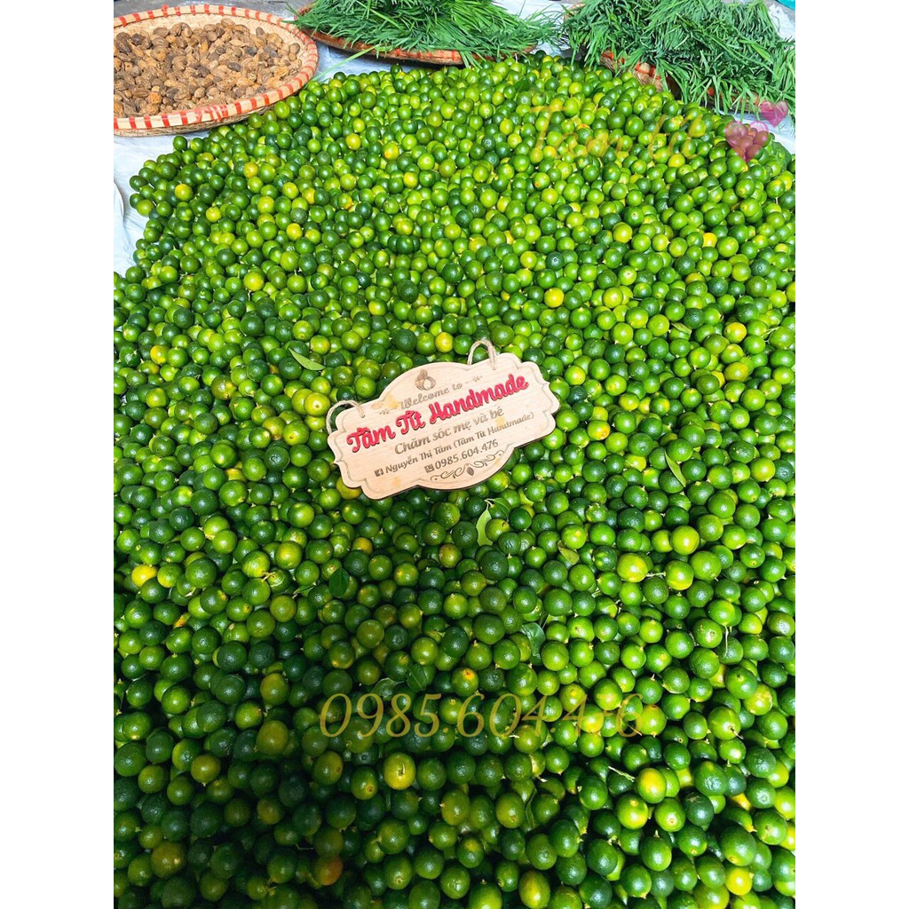 SIRO HO QUẤT HÚNG CHANH