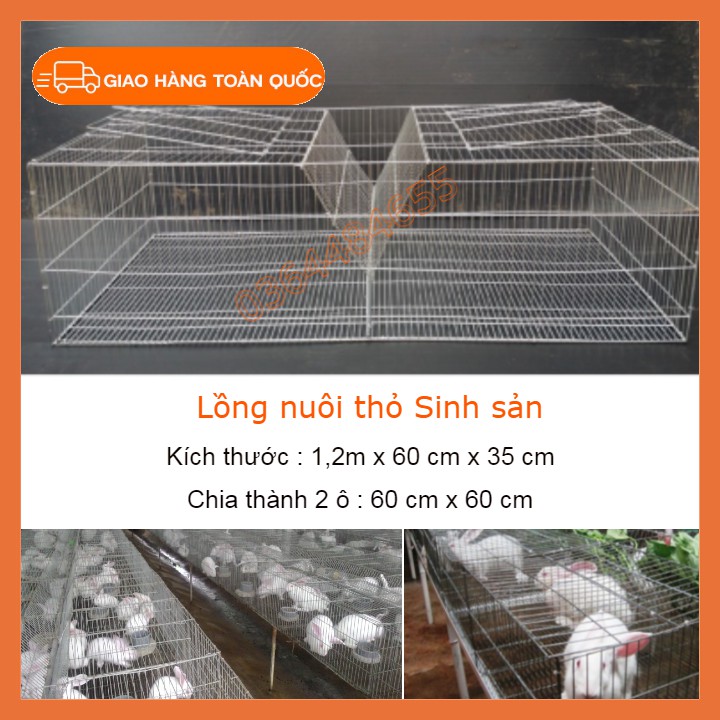 Combo 2 lồng thỏ sinh sản - Lồng thỏ công nghiệp 2 ô có máng cỏ