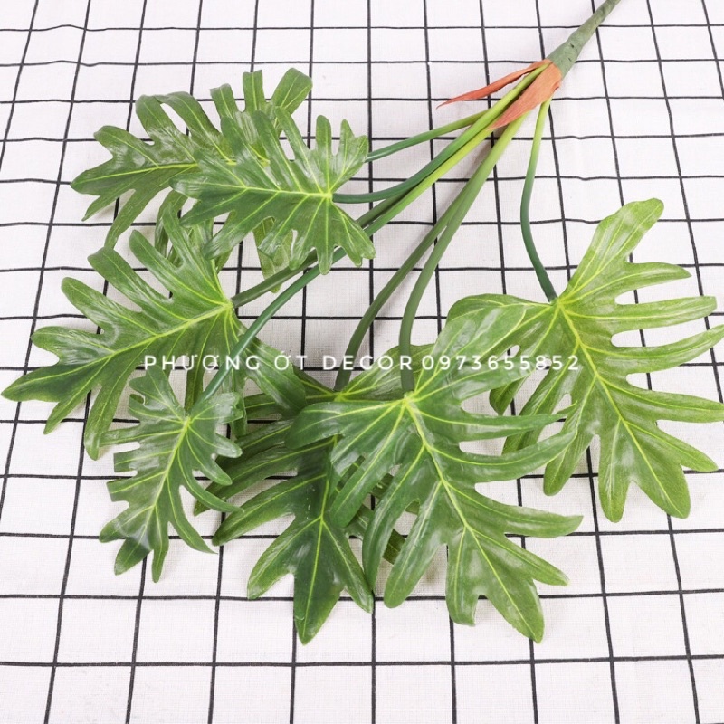 Cây giả - cây lá chầu bà thanh Xuân cao 70cm gồm 7 lá