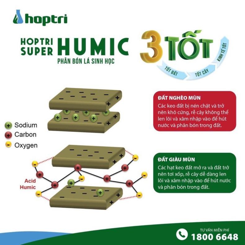 Humic hợp trí - phân bón super humic hợp trí  dạng bột