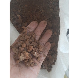 3.5kg XỈ THAN TỔ ONG (Đã qua xử lý)