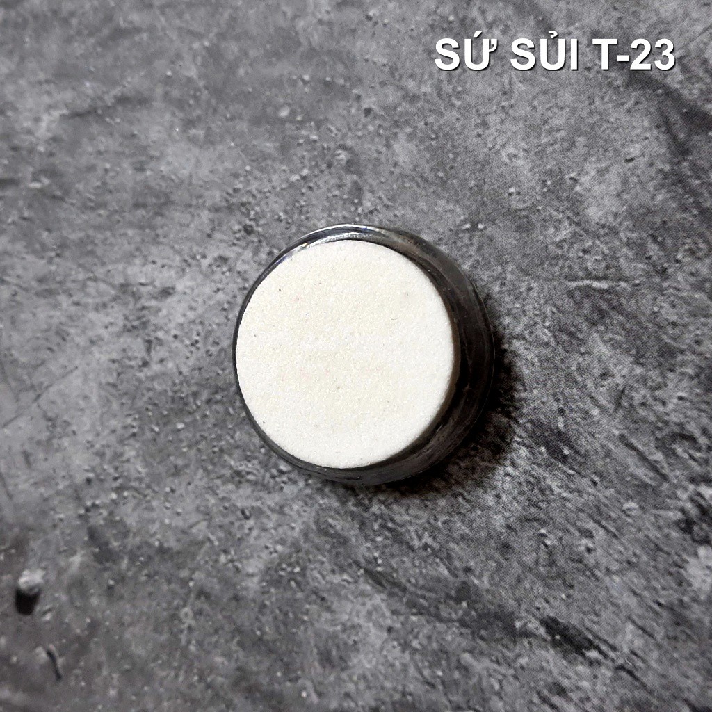 Sứ Sủi Thay Thế Cho Đĩa Sủi Oxy T23 | T35 | T60