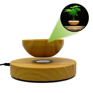 Chậu cây cảnh dạng nam châm độc đáo phong cách