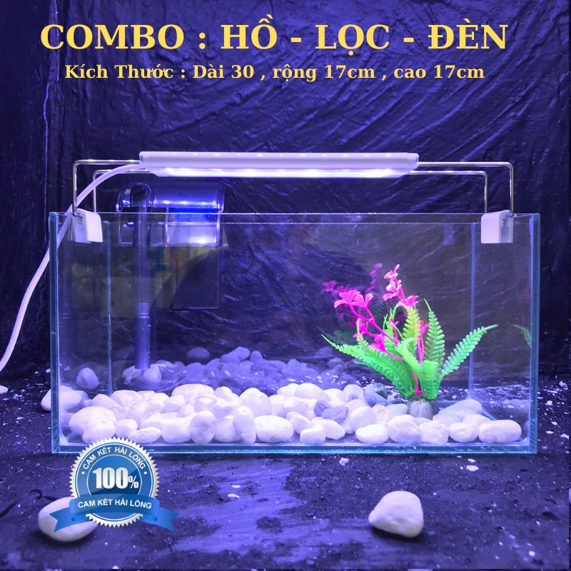 Bể cá mini COMBO ĐẦY ĐỦ D30H17C17 đã bao gồm 6 món phụ kiện