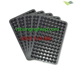 combo 5 khay nhựa ươm cây 104 lỗ