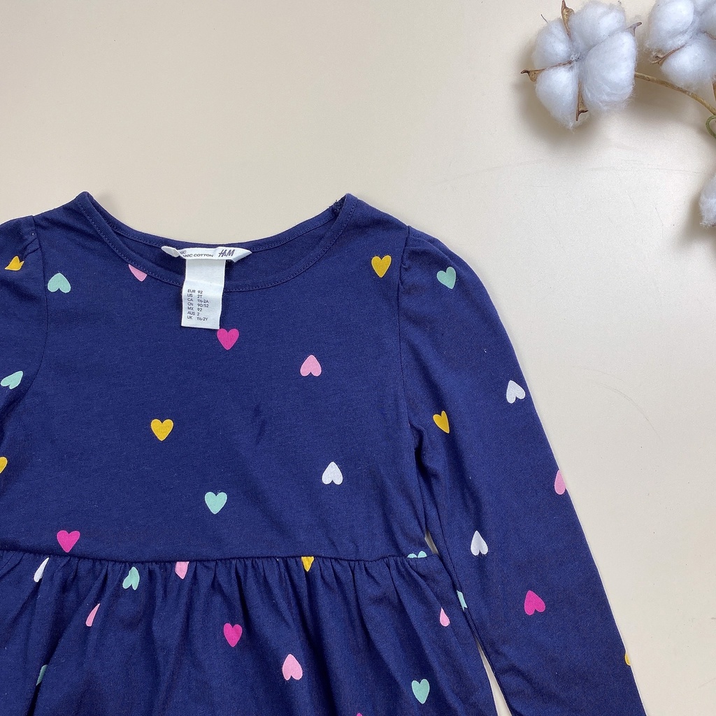 Váy cotton HM dài tay 3 hình BG 2 - 10y