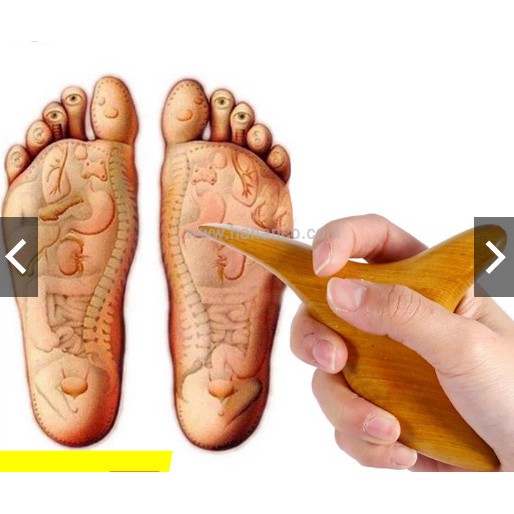 Dụng Cụ Bấm Huyệt Bằng Gỗ Kiểu Thái - Chim Én - Mẫu riêng của Mộc Ánh Dương