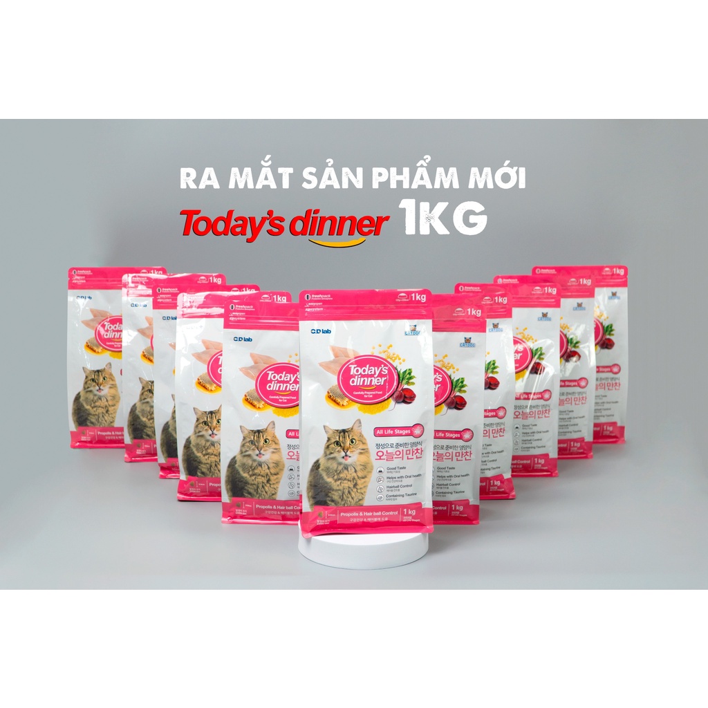 [TIẾT KIỆM] Hạt Thức Ăn Mèo Today's Dinner 1Kg - Túi Tiết Kiệm Today Dinner Thay Thế Catsrang - Bobo Pet Shop Hà Nội