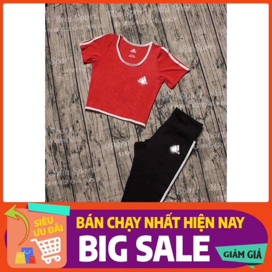 Set Bộ Đồ Tập Gym Yoga Aerobic Cho Nữ Đẹp, Cao Cấp, Big Size, Vnxk - Quần Lửng, Cạp Cao, Nâng Mông Áo Croptop Có Tay