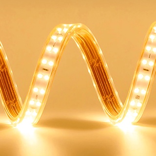 ĐÈN LED DÂY ĐÔI 2835 10M CỰC SÁNG LÀM HẮT TRẦN QUẤN CÂY TRANG TRÍ