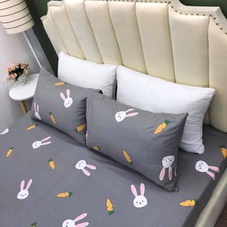 Set Ga-Vỏ gối cotton 100%