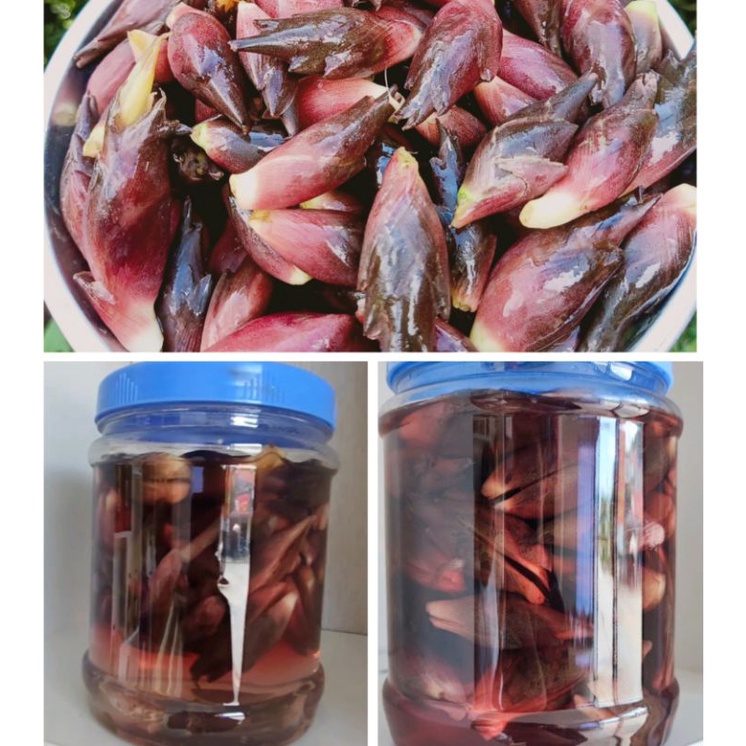 Chồi gừng Myoga ngâm muối ớt hộp 650g