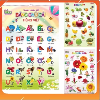 Bộ tranh treo tường cho bé - tranh treo 12 chủ đề đa dạng kích thước 40x60cm giúp bé khám phá thế giới xung quanh