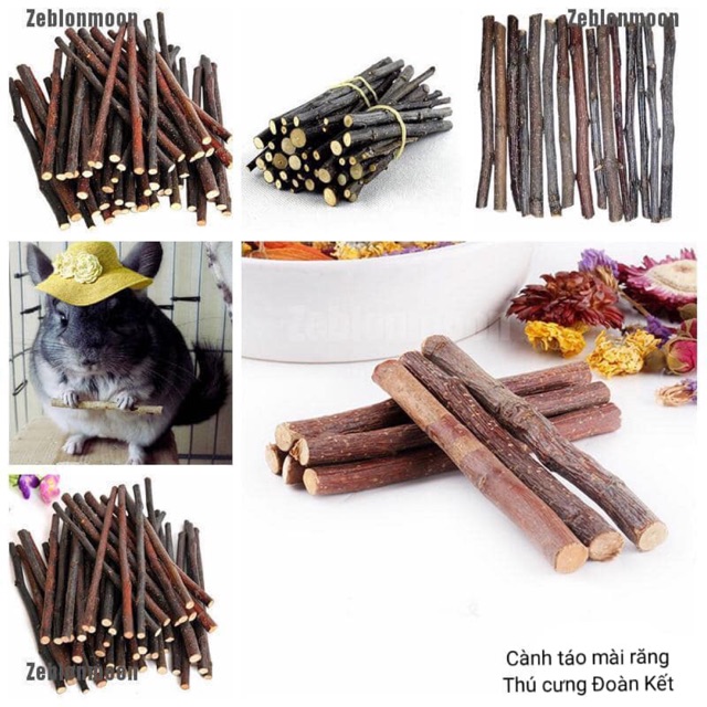 Cành táo mài răng cho hamster, thỏ, bọ ú, chinchilla