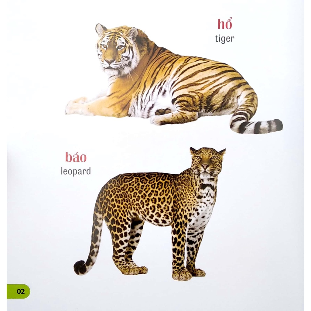 Sách 100 Từ Đầu Tiên Của Bé  - Bìa Mềm