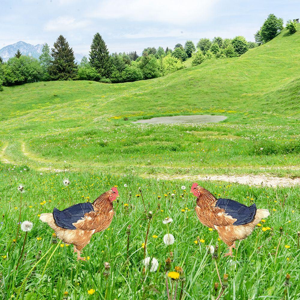 Ellsworth Dây Đai Co Giãn Bảo Vệ Yên Gà Chống Rơi Dễ Giặt