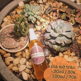 MỠ TRĂN [hỗ trợ triệt lông, dưỡng da]