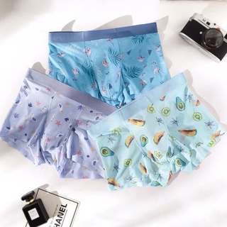 combo 3 quần boxer nam
