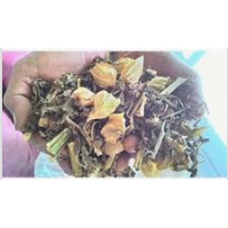 Cây Tầm Bóp khô 1KG - OLF080