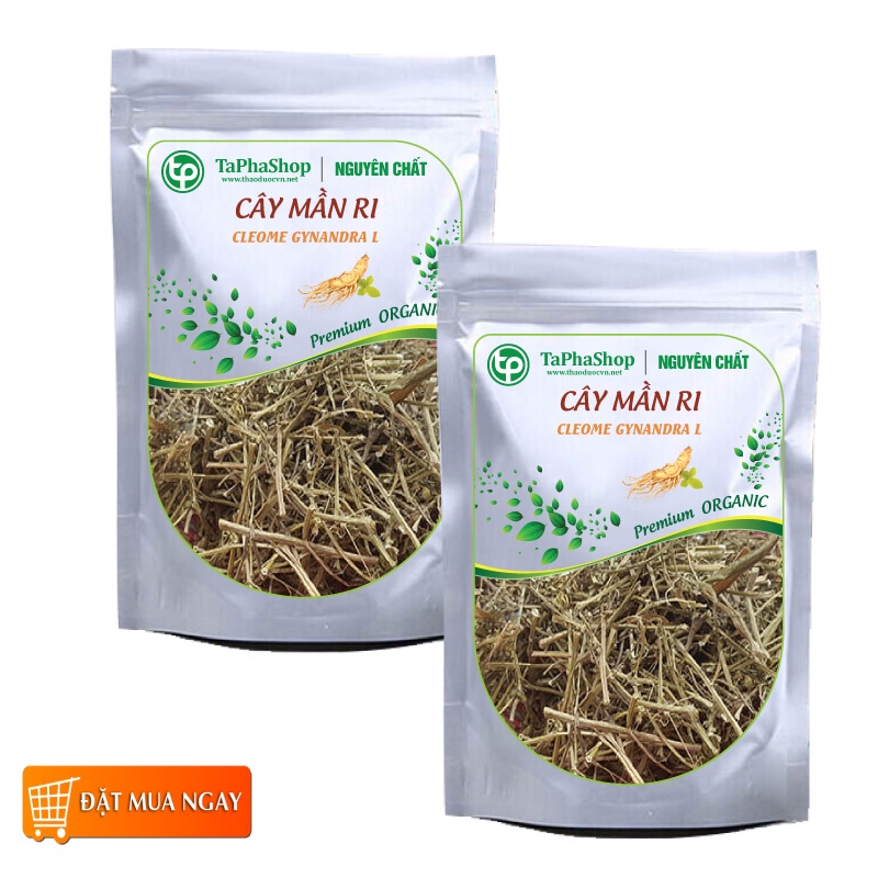 Cây mần ri sấy khô - Thảo dược Tấn Phát