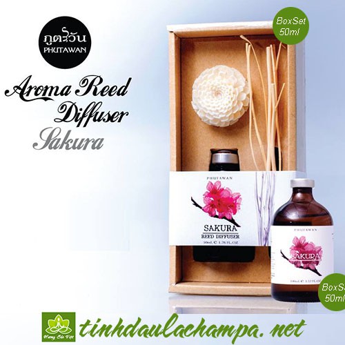 Tinh dầu cắm que gỗ hương hoa Anh Đào - Sakura Phutawan Reed Diffuser