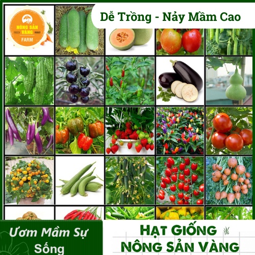 [HCM]Hạt giống Dây Leo, La Gim, Dễ Trồng, Nảy Mầm Cao, Năng Suất Cao - Nông Sản Vàng