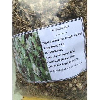 Combo 5kg Cây nở ngày đất phơi khô hàng khô sạch
