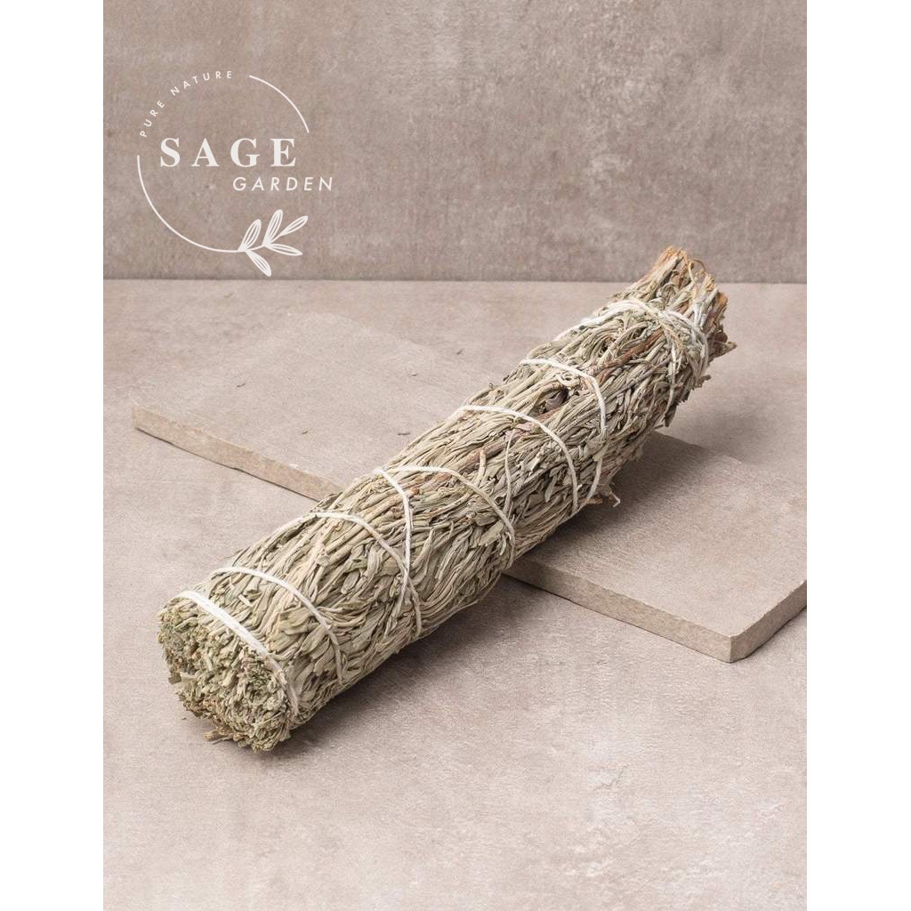 XÔ THƠM THỊNH VƯỢNG_Size cơ bản (10-12cm)_SAGE GARDEN