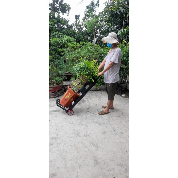 Thang ghế 3 bậc kết hợp xe đẩy hàng 100% thép mạ kẽm siêu bền, vững chắc