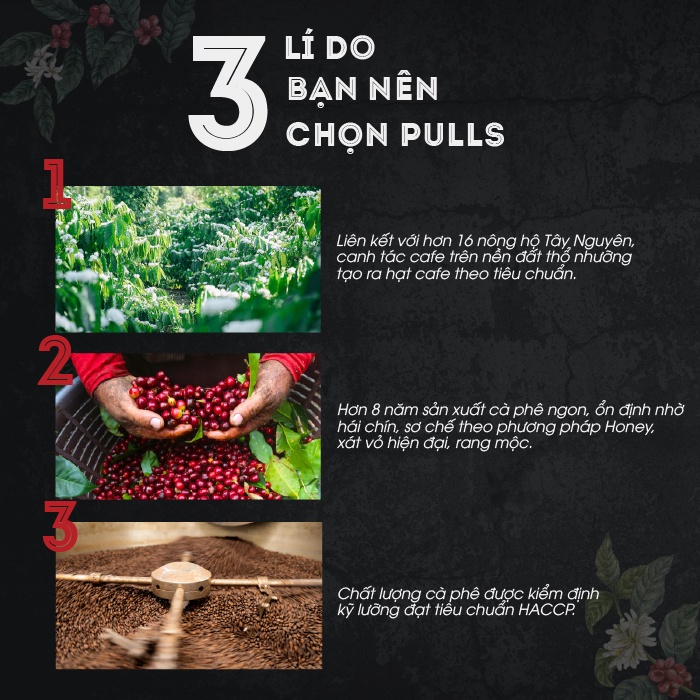 Cà phê pha phin nguyên chất Blend M3 rang mộc 100% từ Pulls Coffee, thơm quyến rũ vị đậm đà ngọt hậu - gói 250g/500g | BigBuy360 - bigbuy360.vn