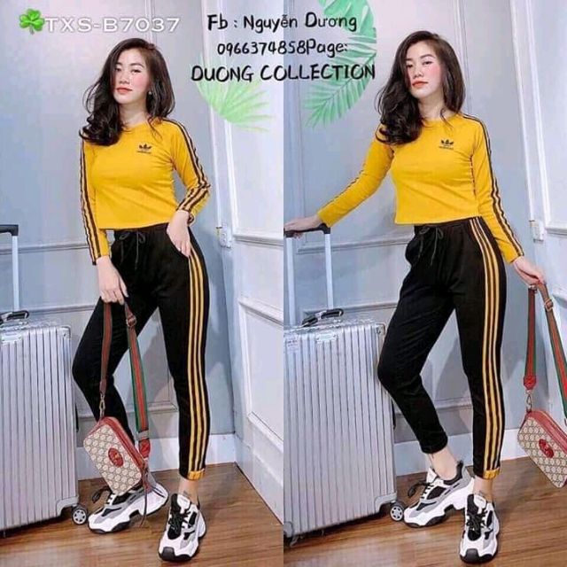 Set bộ thể thao, hàng chuyên sĩ