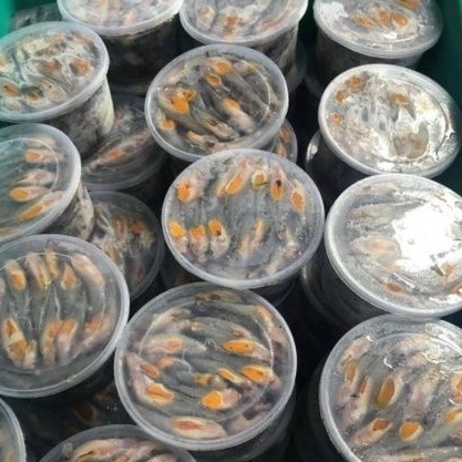 69k 500gr Cá Bóng Trứng