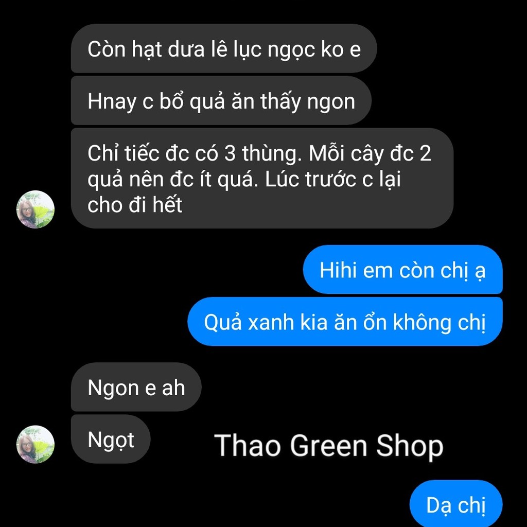 30 - HẠT GIỐNG DƯA LÊ LỤC NGỌC SIÊU NGỌT F1