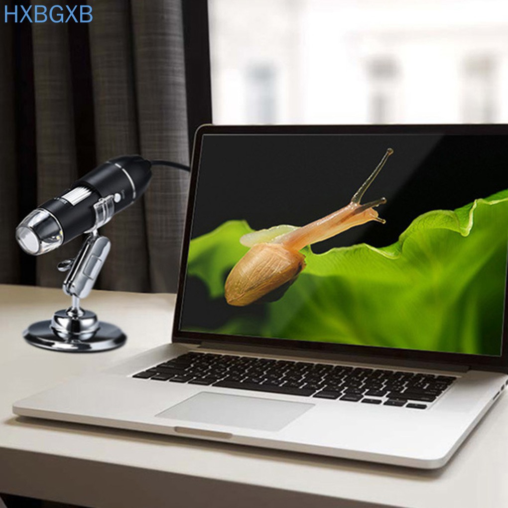 Kính Hiển Vi Điện Tử Phóng Đại 500 Lần Có 8 Đèn LED Cổng USB | BigBuy360 - bigbuy360.vn