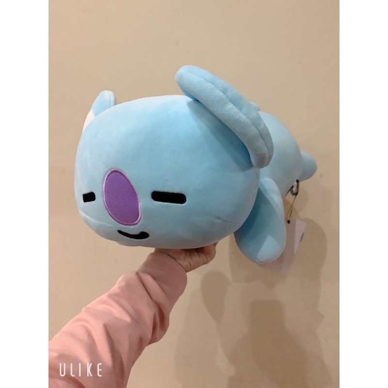 Trườn jumbo 50cm Koya