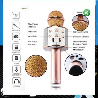 Mic karaoke WS-858
