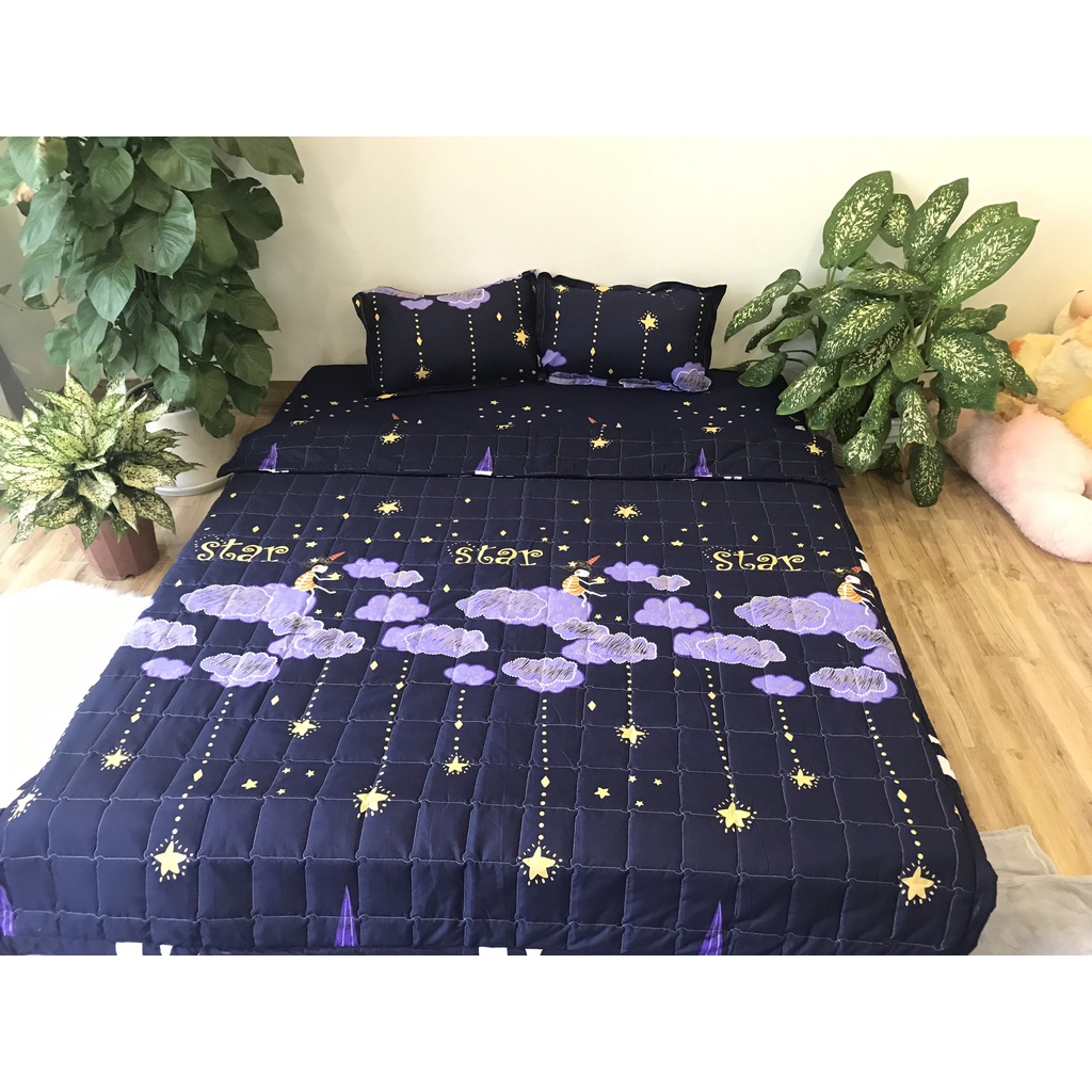 Chăn hè thu trần bông poly cotton,nhiều mẫu lựa chọn