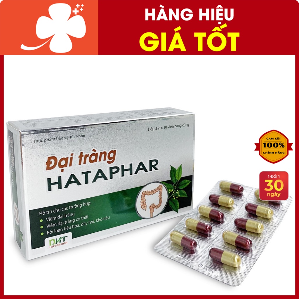 Đại Tràng Hataphar – Hỗ trợ cải thiện tình trạng rối loạn tiêu hóa, giảm đau bụng, đầy hơi (hộp 3 vỉ x 10 viên)
