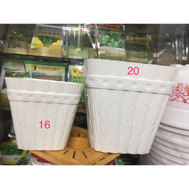 Chậu vuông giả gỗ 20cm- chậu trồng cây