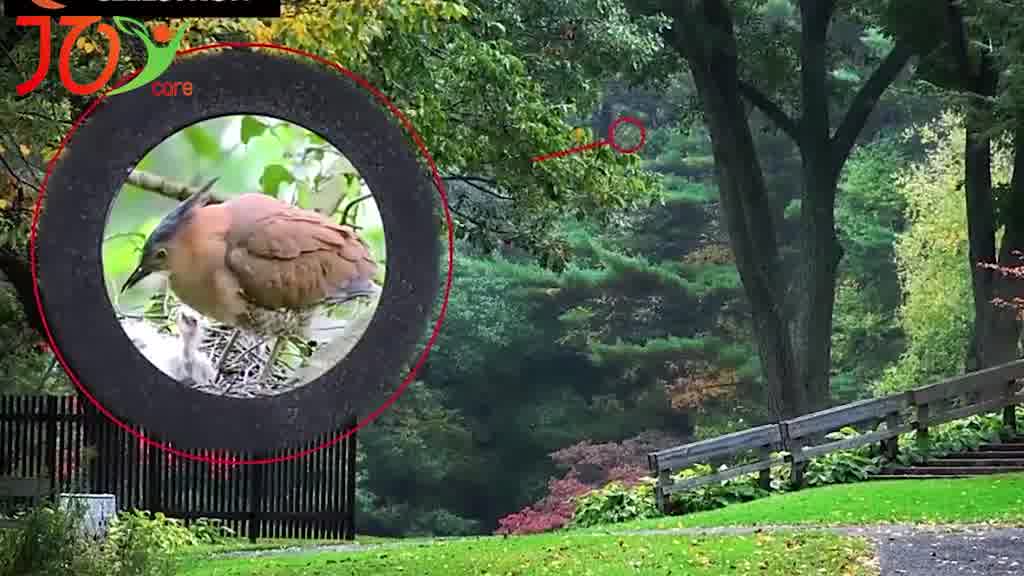 Kính thiên văn chuyên nghiệp JOYCARE 70400 | BigBuy360 - bigbuy360.vn