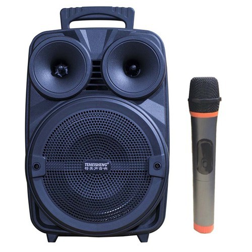 Loa kéo di động karaoke Temeisheng A8-10