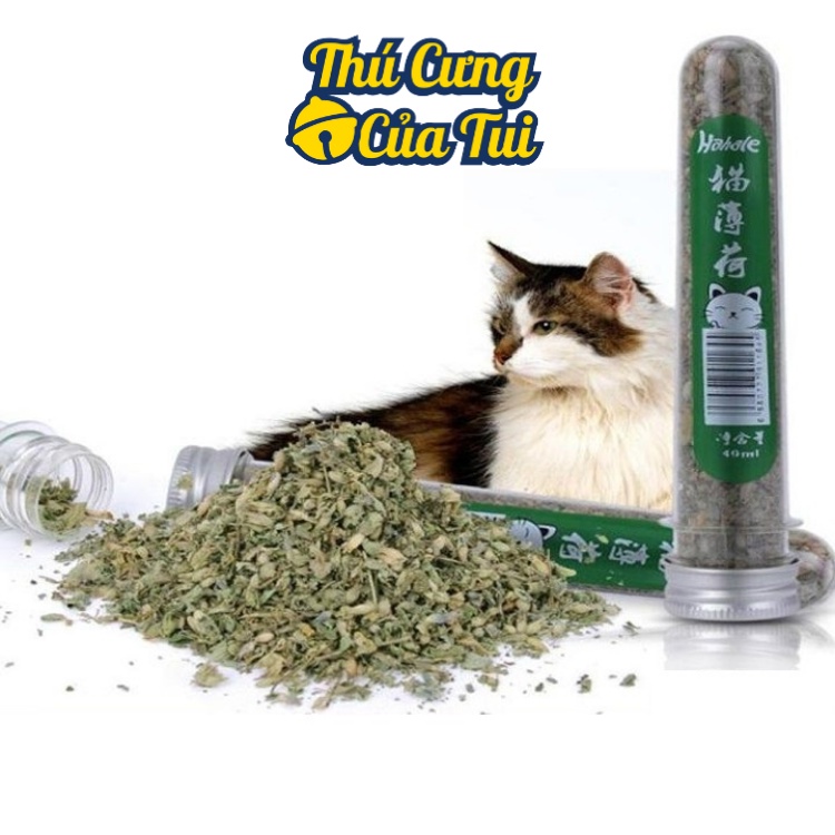 Ống Cỏ Bạc Hà Catnip Cho Mèo Chơi - Thú Cưng Của Tui