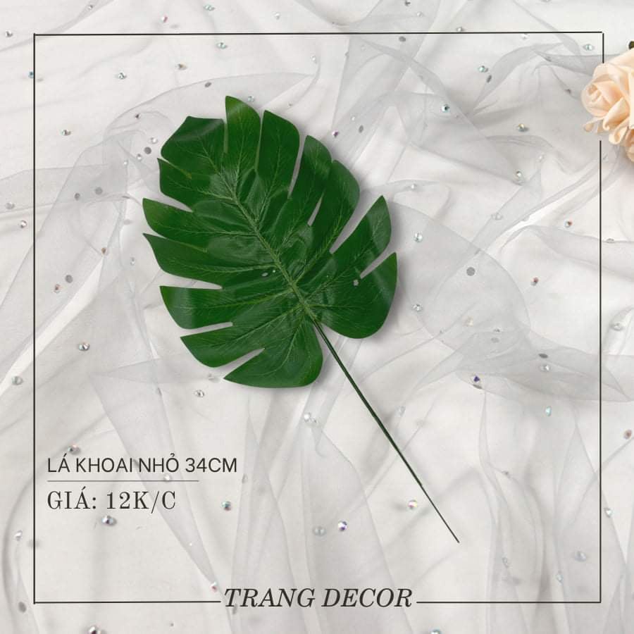 Lá trang trí, lá decor, lá chụp ảnh, lá bó hoa giá chỉ 5000-20000k