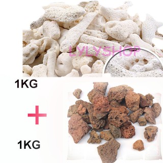 Combo ĐÁ NHAM THẠCH (1kg) + SAN HÔ VỤN (1KG) vật liệu lọc, trang trí bể cá