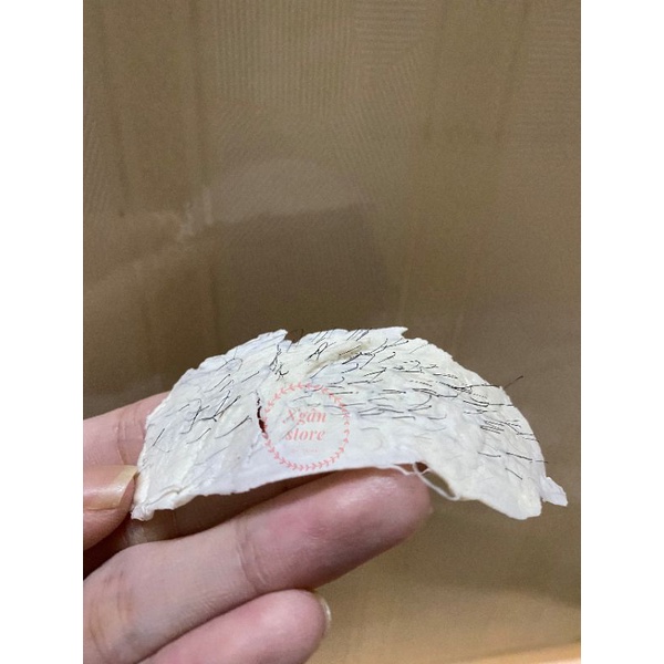 [Tặng kèm que gỗ] Combo sáp wax nóng Hard Wax Bean 100gr, triệt lông lông vĩnh viễn | BigBuy360 - bigbuy360.vn